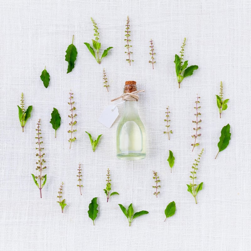 Medicinal Herb Gardens