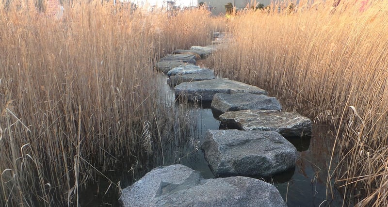 DIY Stepping Stones